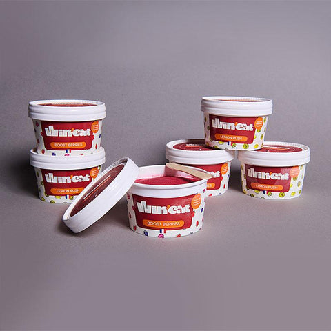 PACK DÉCOUVERTE FRAÎCHEUR Sorbets Vitaminés